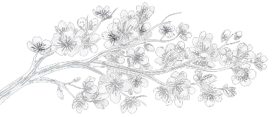 sakura-leaves